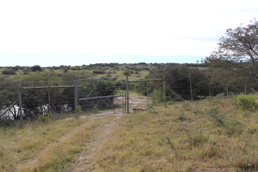 1 Bedroom Property for Sale in Bathurst Rural Eastern Cape